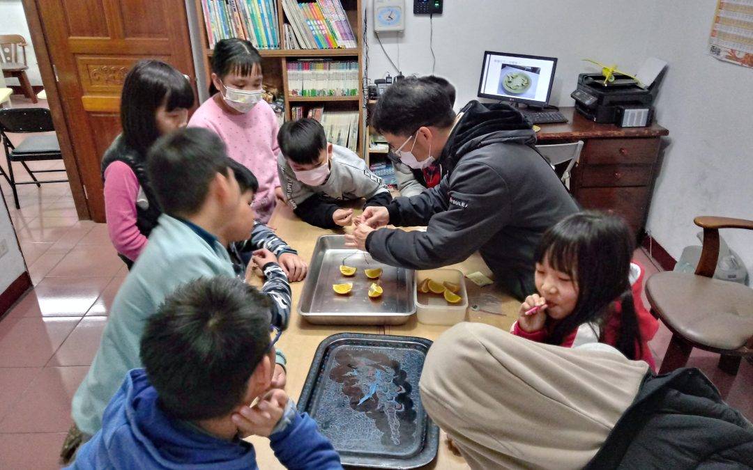 桃園課輔班  科學小教室-水果電池